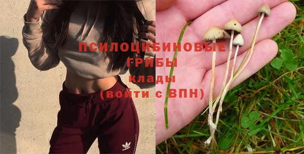 прущая мука Балабаново