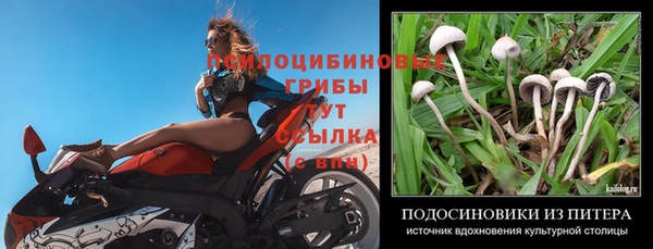 прущая мука Балабаново