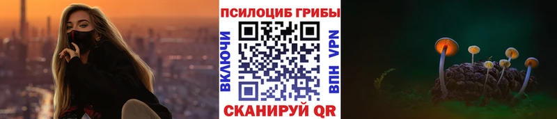 Псилоцибиновые грибы Magic Shrooms  продажа наркотиков  Пересвет 